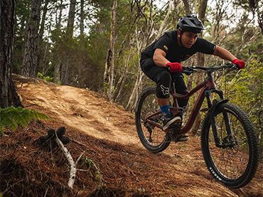 Waitangi Mountain Bike Park