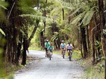 Pou Herenga Tai Twin Coast Cycle Trail